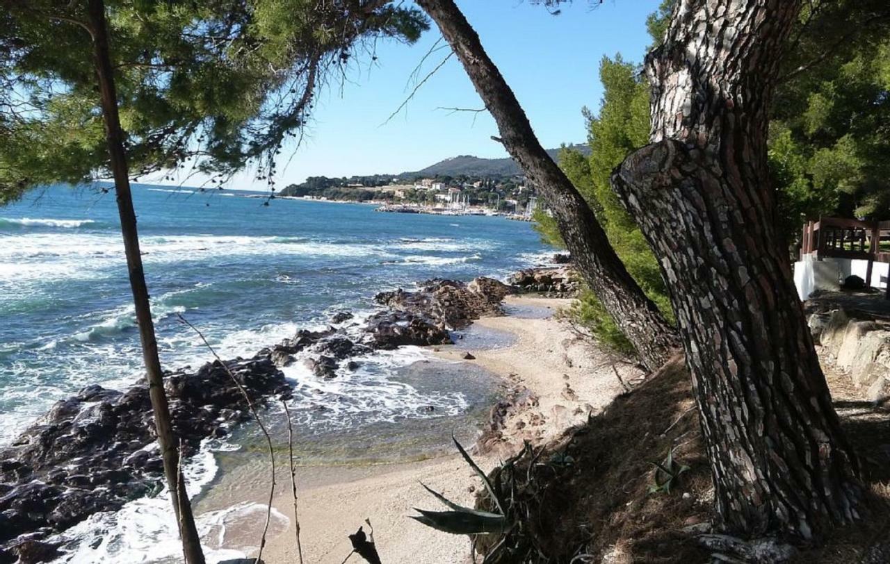 לה פרדה **** Beau T2 De 40 M2, Jardin De 70M2, Au Calme, A 50 Metres De La Plage מראה חיצוני תמונה